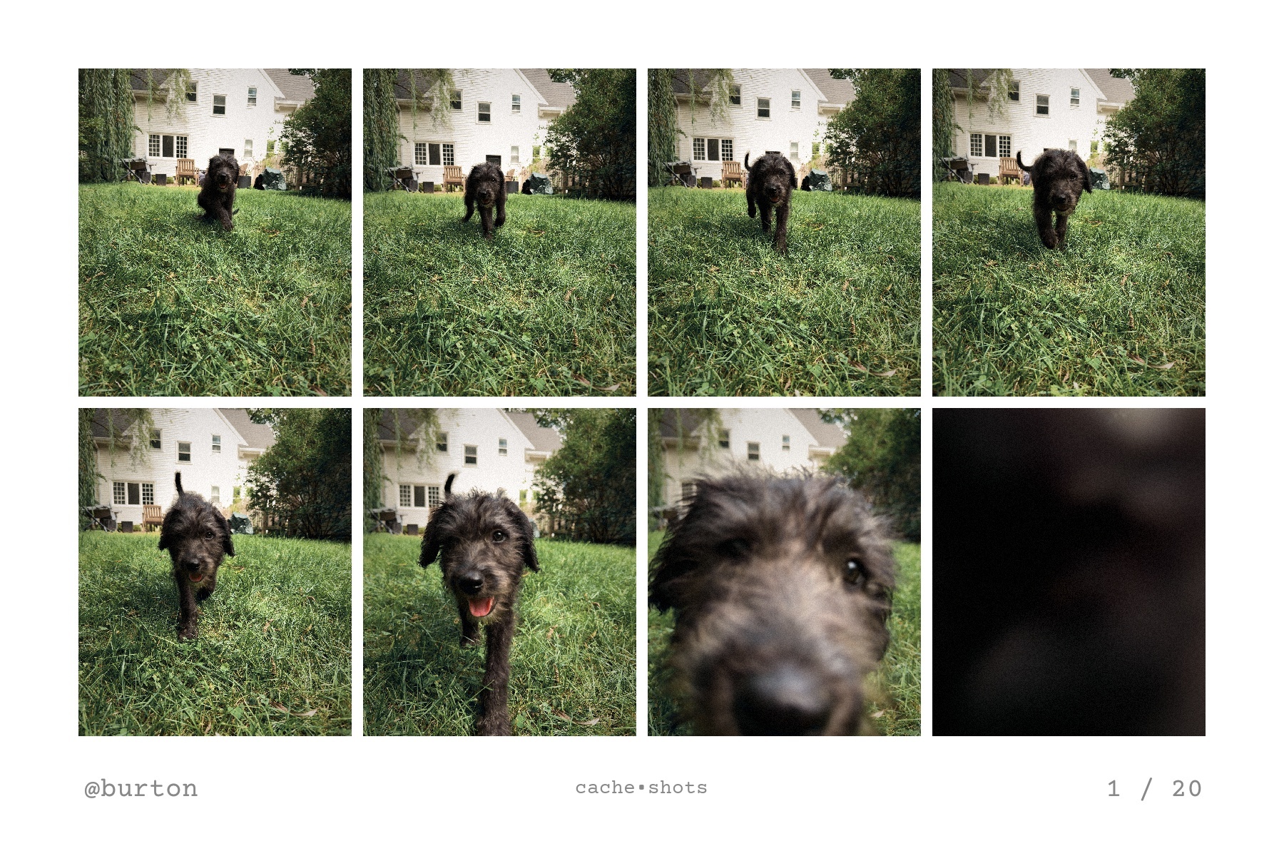 a burst printed as an eight frame grid on a single 4x6