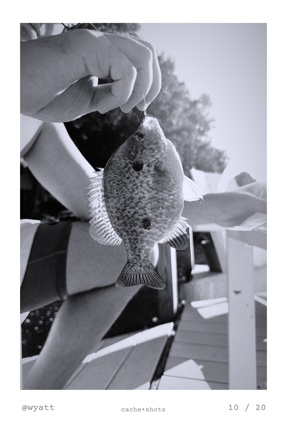 a black and white print of a hand holding up a small fish on a fishing line, by @wyatt